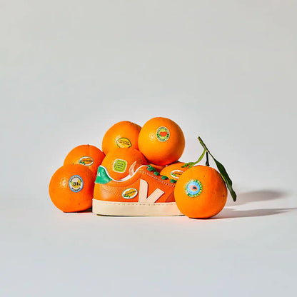 VOLLEY ELASTIC LACES LEATHER VEJA X THE SOCIAL FOOD FURY CALCAIRE