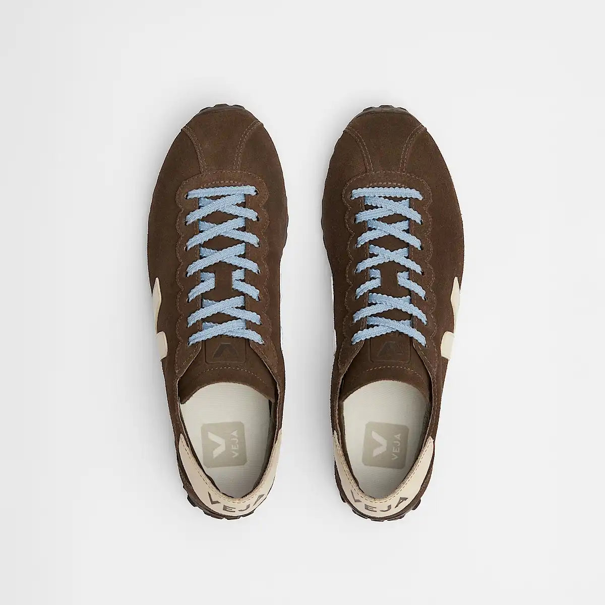 CATEYES SUEDE EAGLE CASHEW