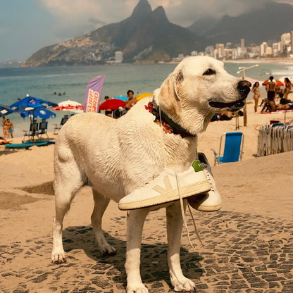 URCA CWL WHITE PIERRE KIWI